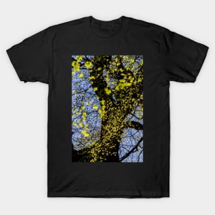 Sunlit Beech Leaves T-Shirt